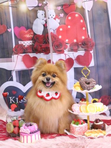 20250204ルルちゃん